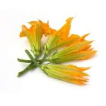 Fiori di Zucca - Vaschetta da 6 Pezzi - Azienda Agricola Nanometro Zero